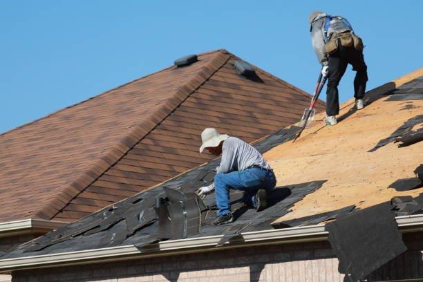 Best Roof Moss and Algae Removal  in Lake Como, NJ